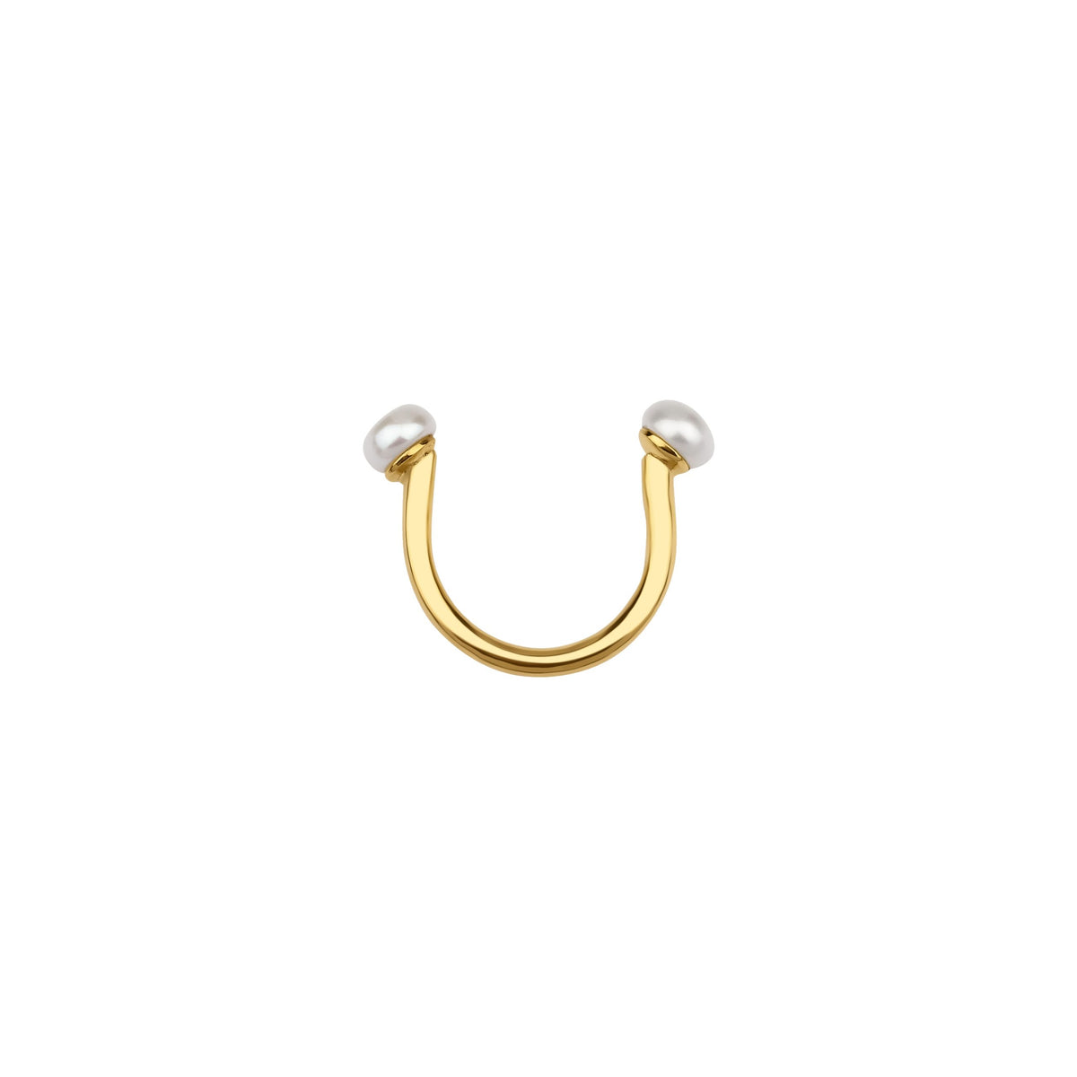 Nose Jewelry