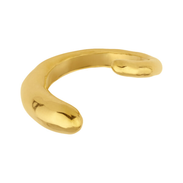 Shed Bracelet - Image 2
