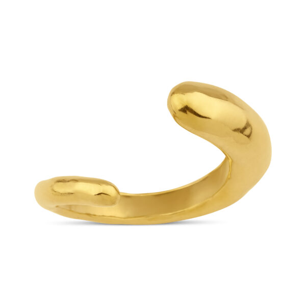 Shed Bracelet