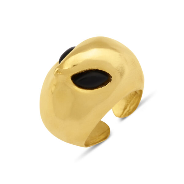 Robin Ring